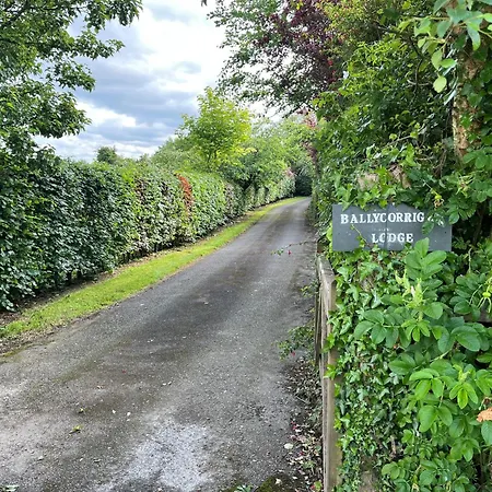 Ballycorrigan Luxury House For Up To 12 Guests فيلة