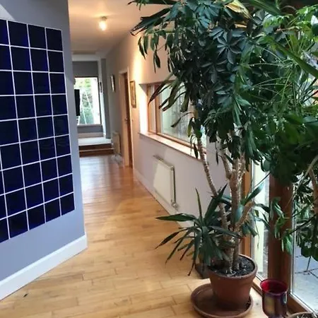 Βίλα Ballycorrigan Luxury House For Up To 12 Guests Ballina (Tipperary)