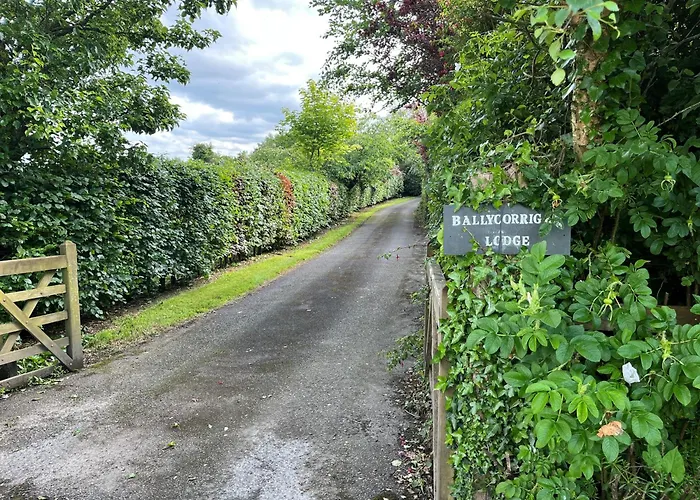 Ballycorrigan Luxury House For Up To 12 Guests 别墅